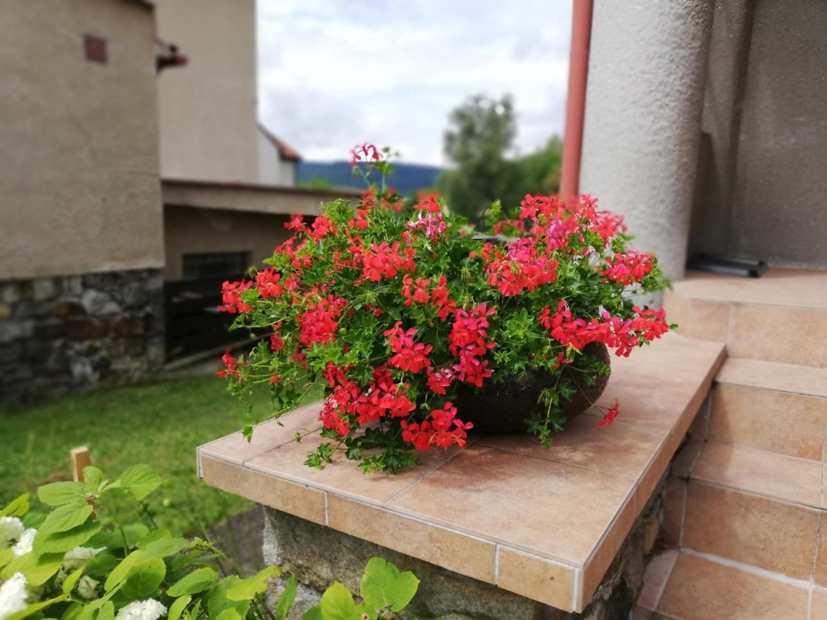 Villa Oliva Český Krumlov Eksteriør bilde