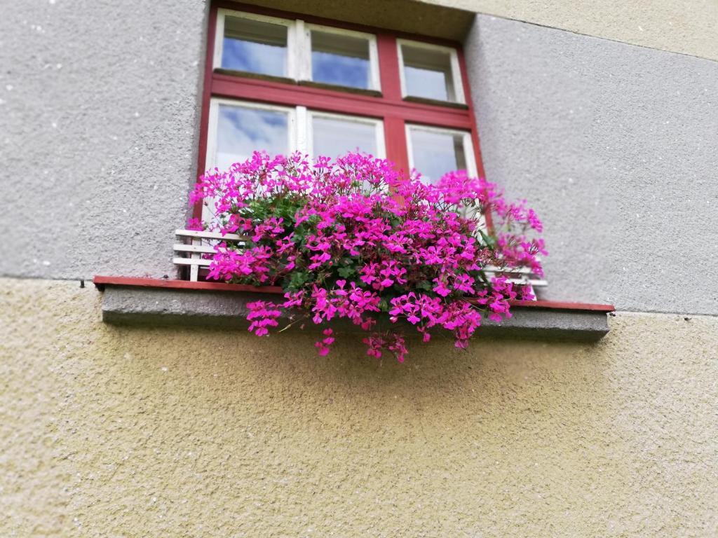 Villa Oliva Český Krumlov Eksteriør bilde